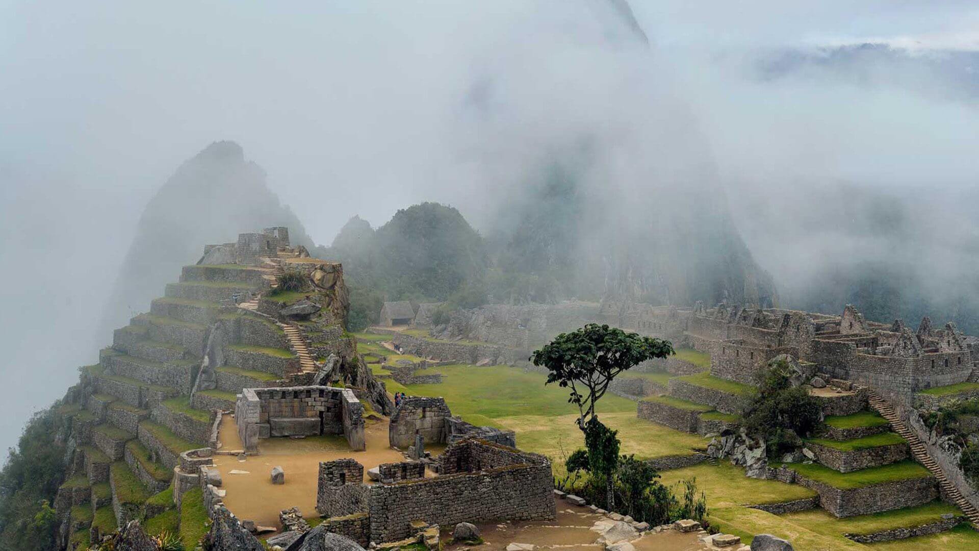 Chemin de l'Inca au Machu Picchu