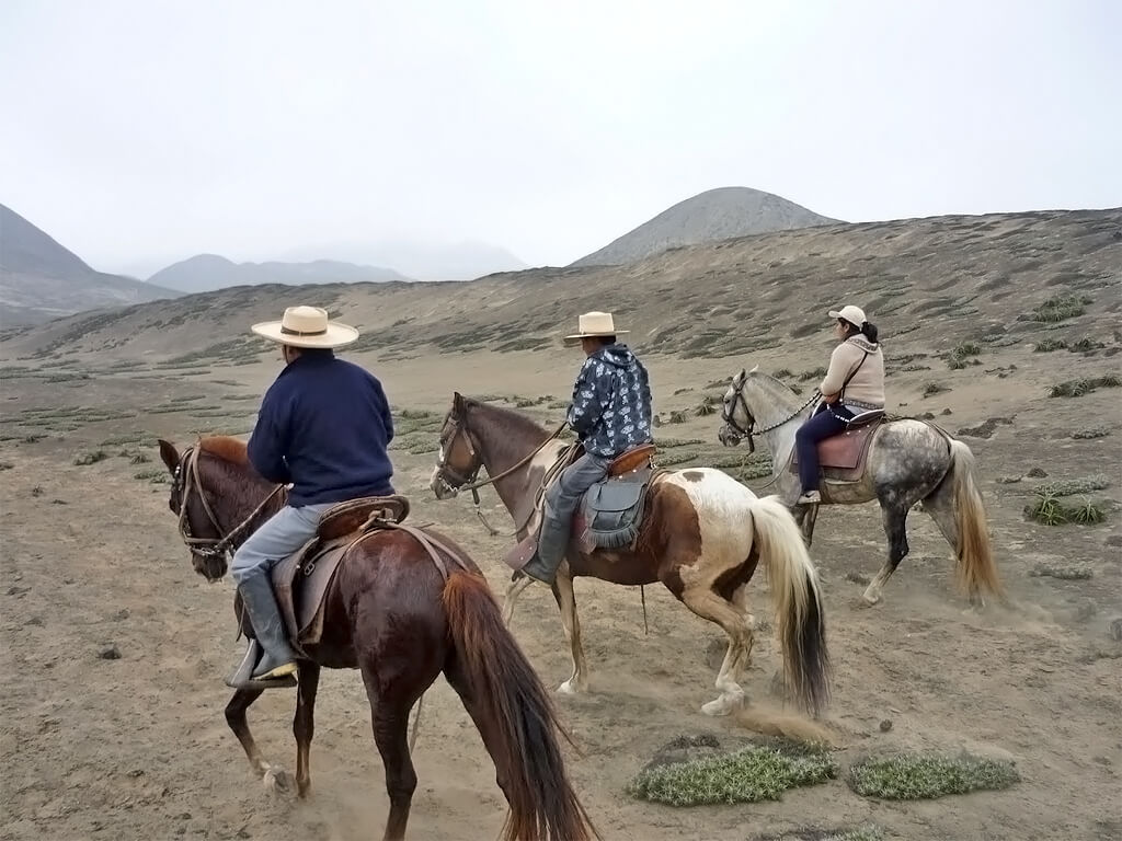 Chevauchées à la recherche des civilisations de Caral au Pérou