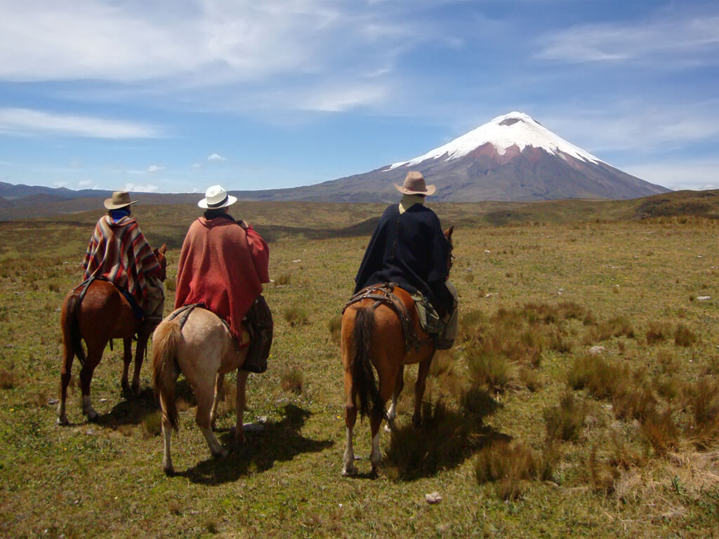 Chevauchées aux pieds du volcan Cotopaxi en Équateur