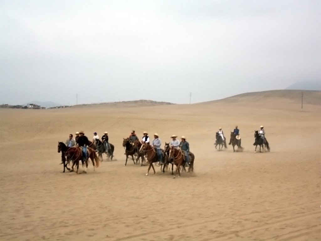 Chevauchées au Pérou depuis Ica