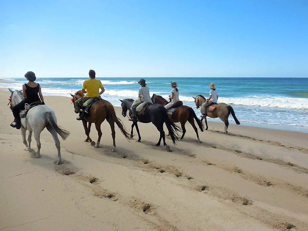 Chevauchées sur les plages du Pacifique au Pérou