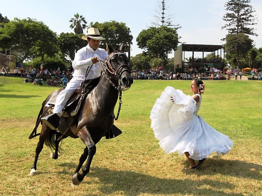 Démonstration de danse du cheval de Paso au Pérou