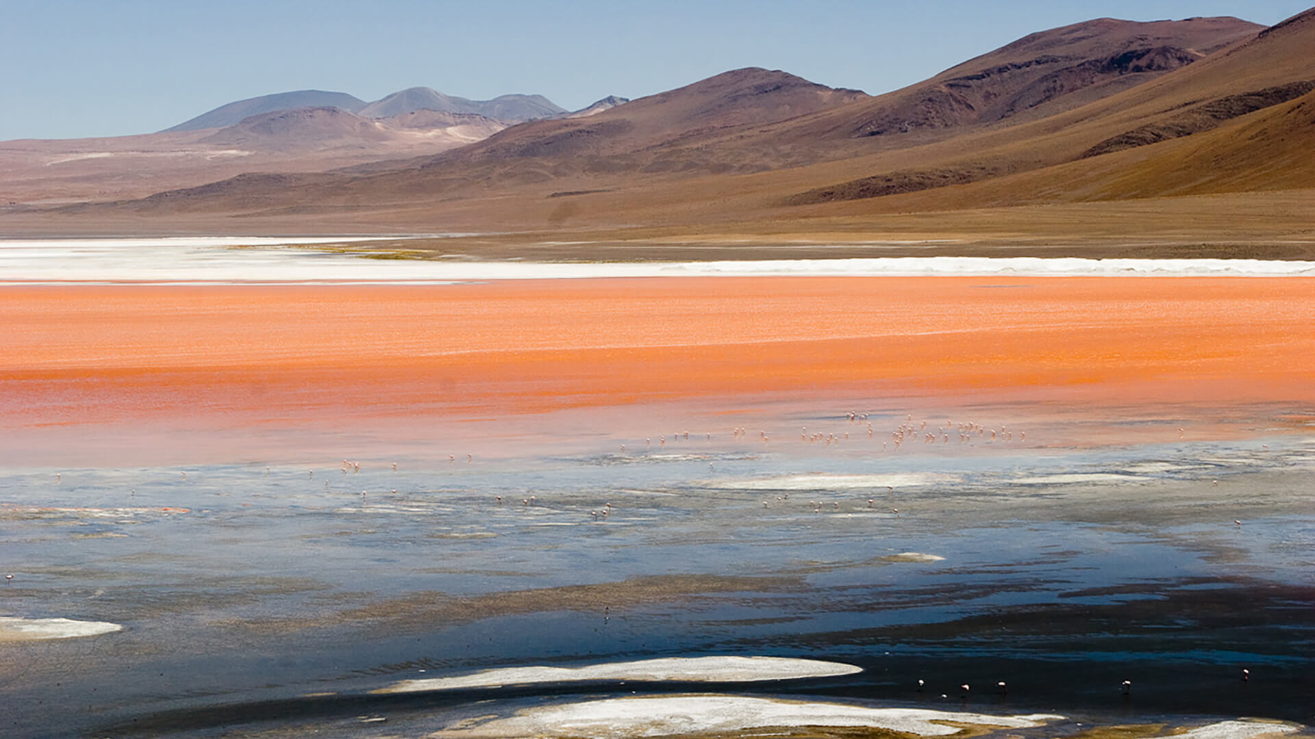 Laguna Colorada au Sud Lípez en Bolivie