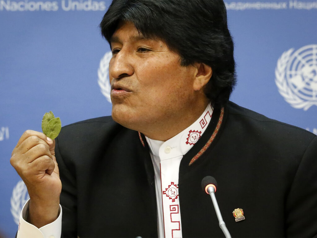 Evo Morales défend la coca