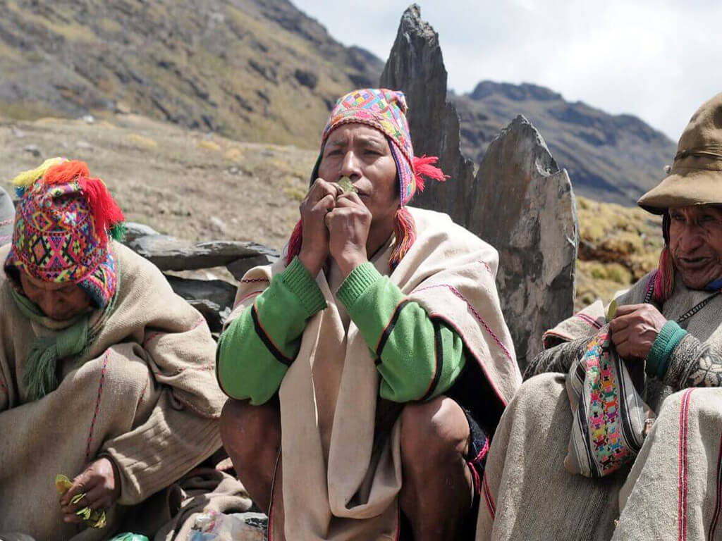 La coca est la feuille sacrée du peuple andin